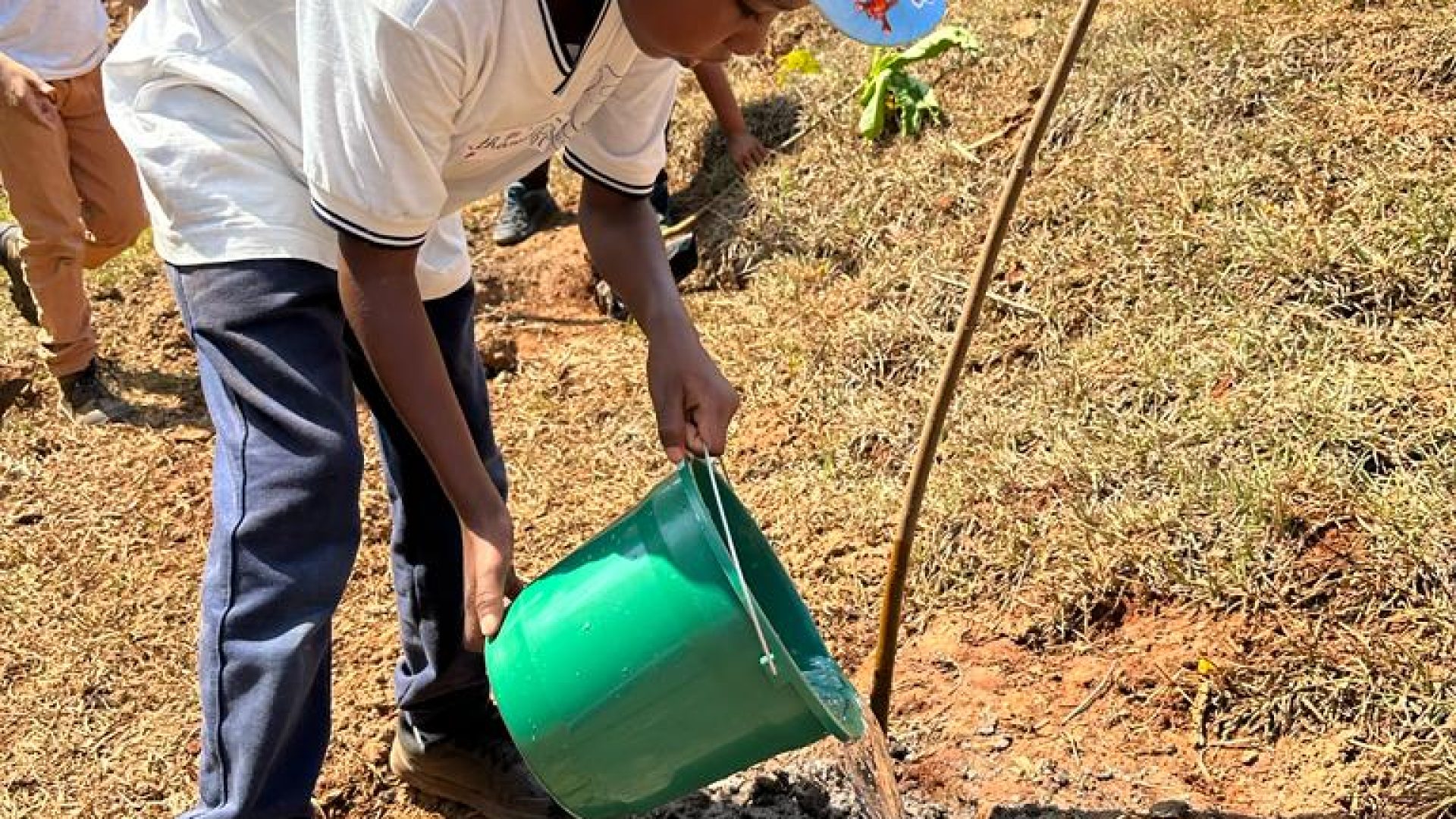 22710_60549375e37fc954e3a6785571b44dfc