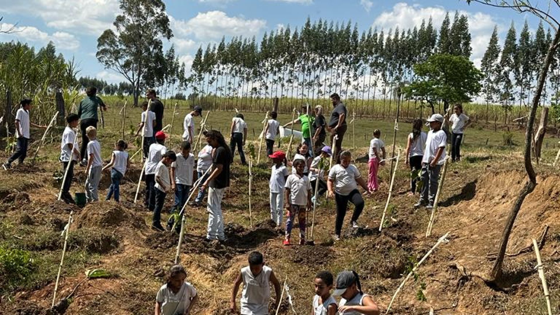 22710_b56a9dab55b063a1adc366909313ec97